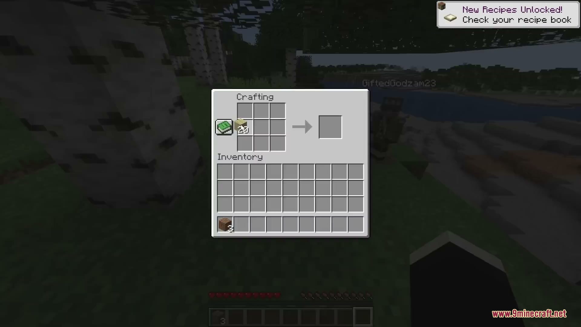 Shared Inventory Mod Screenshot 3 Shared Inventory Mod Screenshot 3