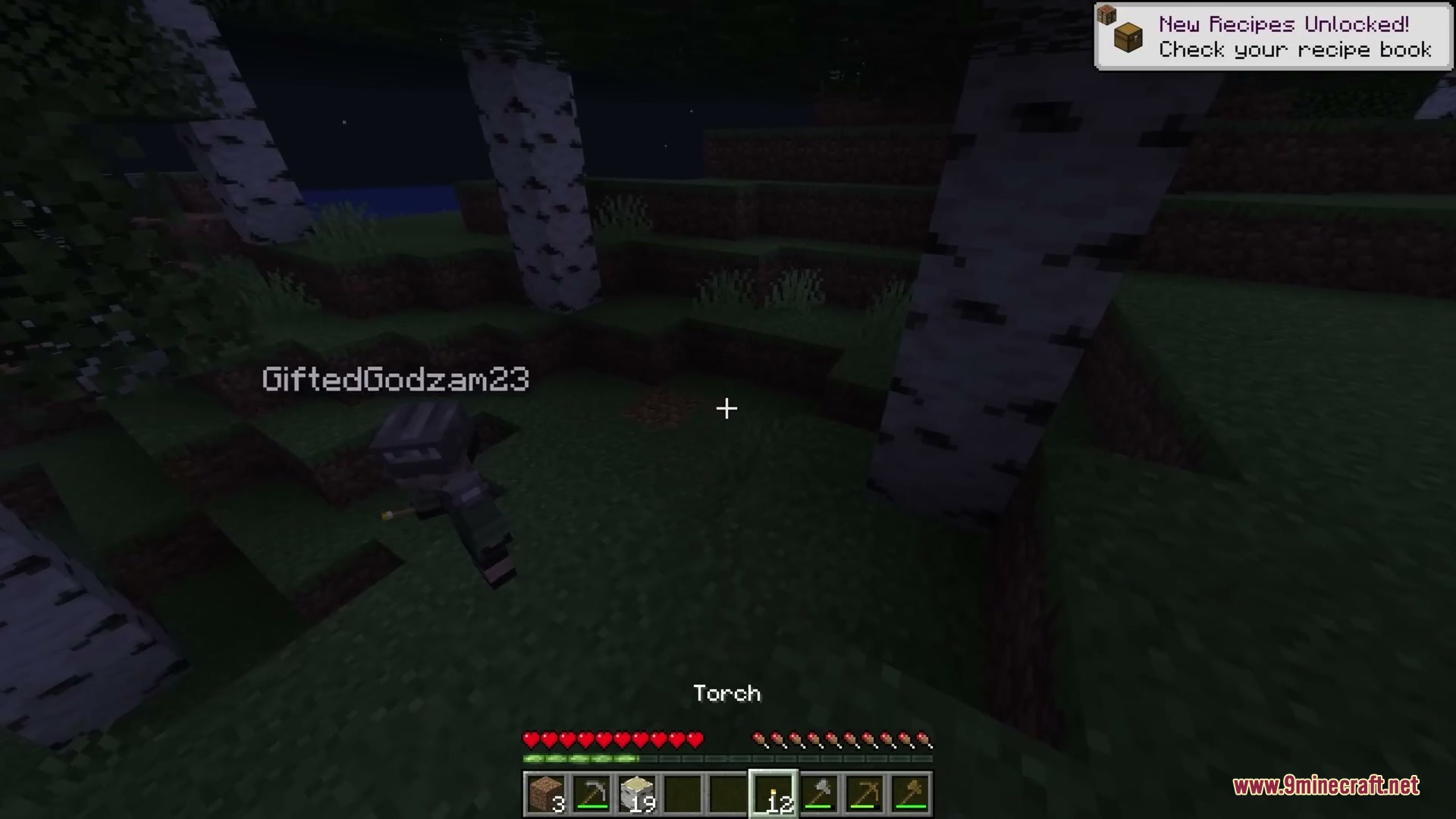 Shared Inventory Mod Screenshot 4 Shared Inventory Mod Screenshot 4