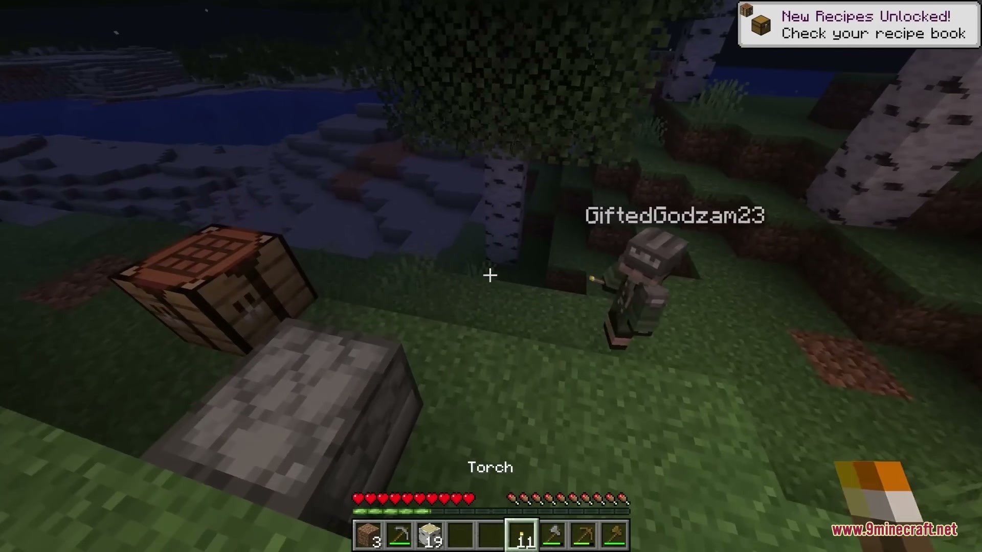 Shared Inventory Mod Screenshot 5 Shared Inventory Mod Screenshot 5