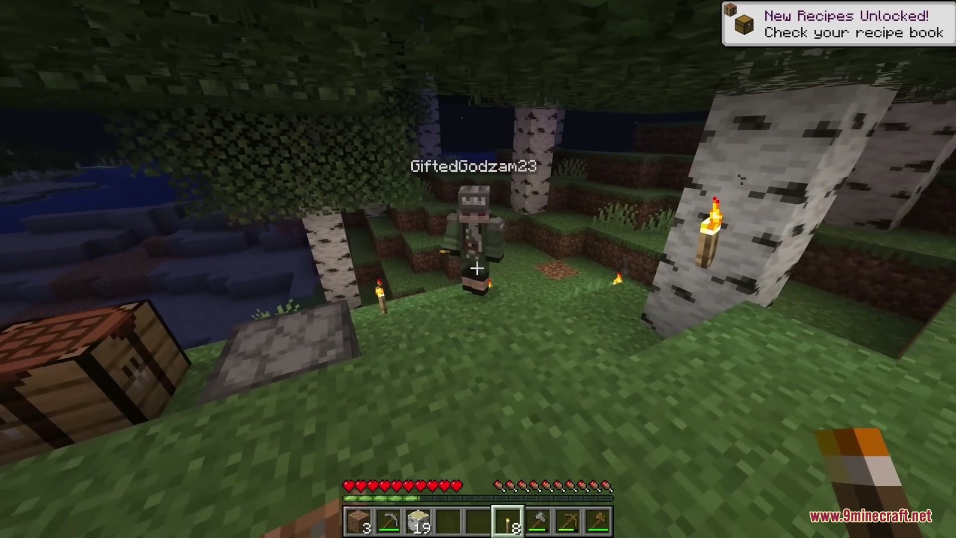 Shared Inventory Mod Screenshot 7 Shared Inventory Mod Screenshot 7