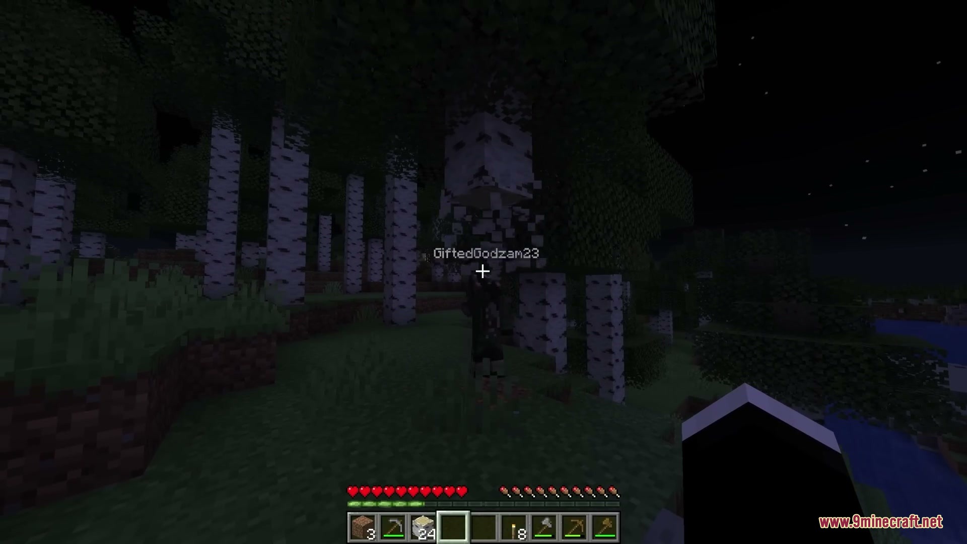 Shared Inventory Mod Screenshot 8 Shared Inventory Mod Screenshot 8