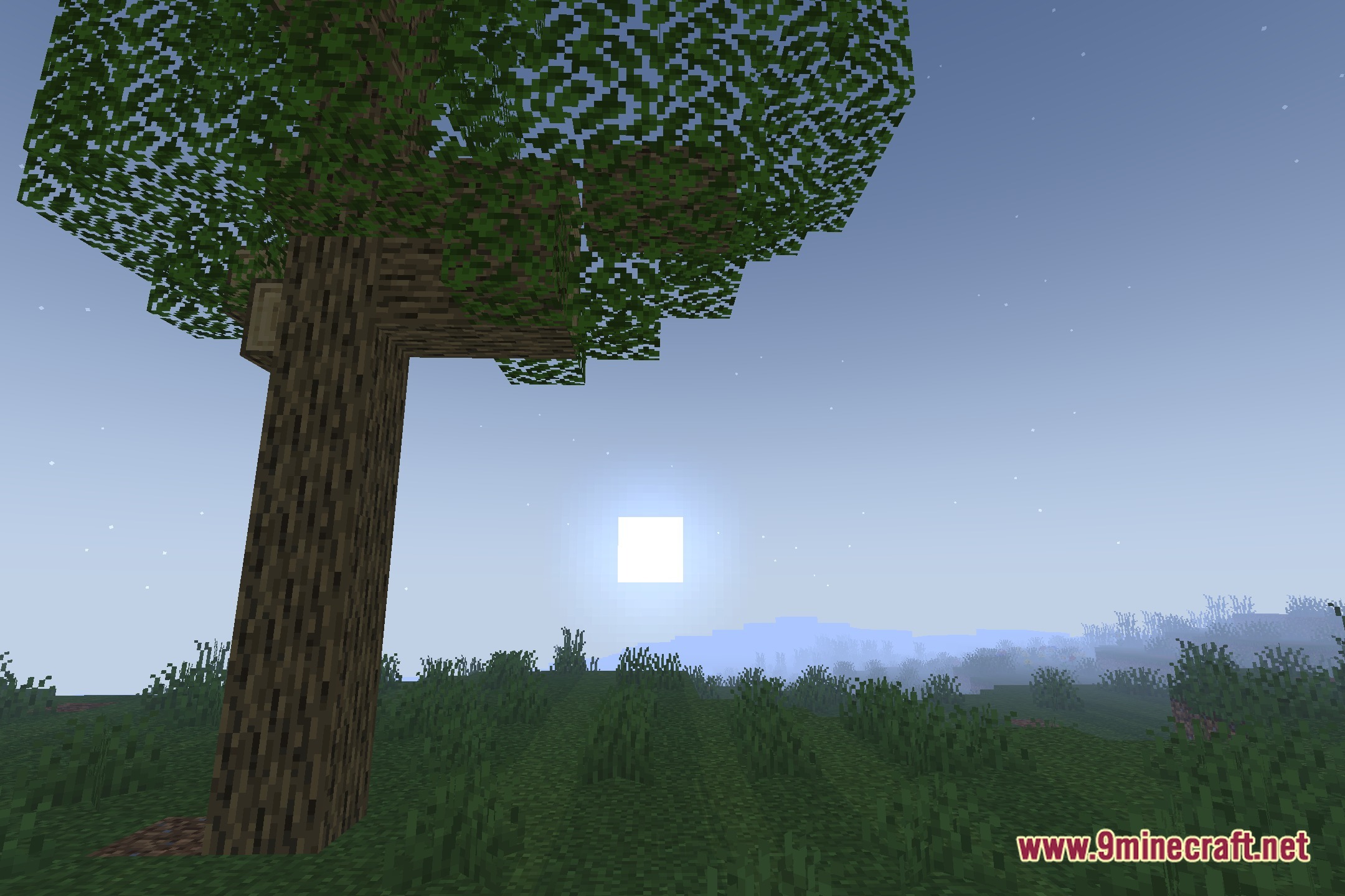 Shoggy Shaders Screenshot 4
