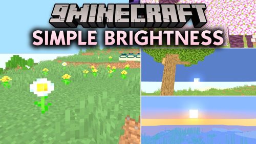Simple Brightness Shaders