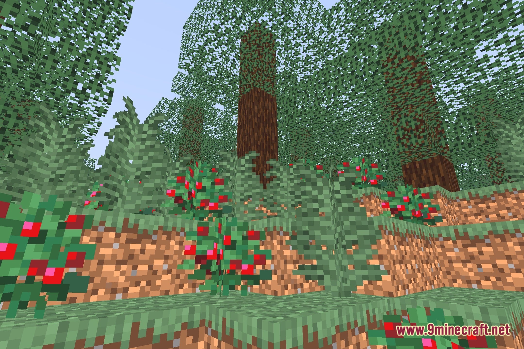 Simply Solid Shaders Screenshot 11