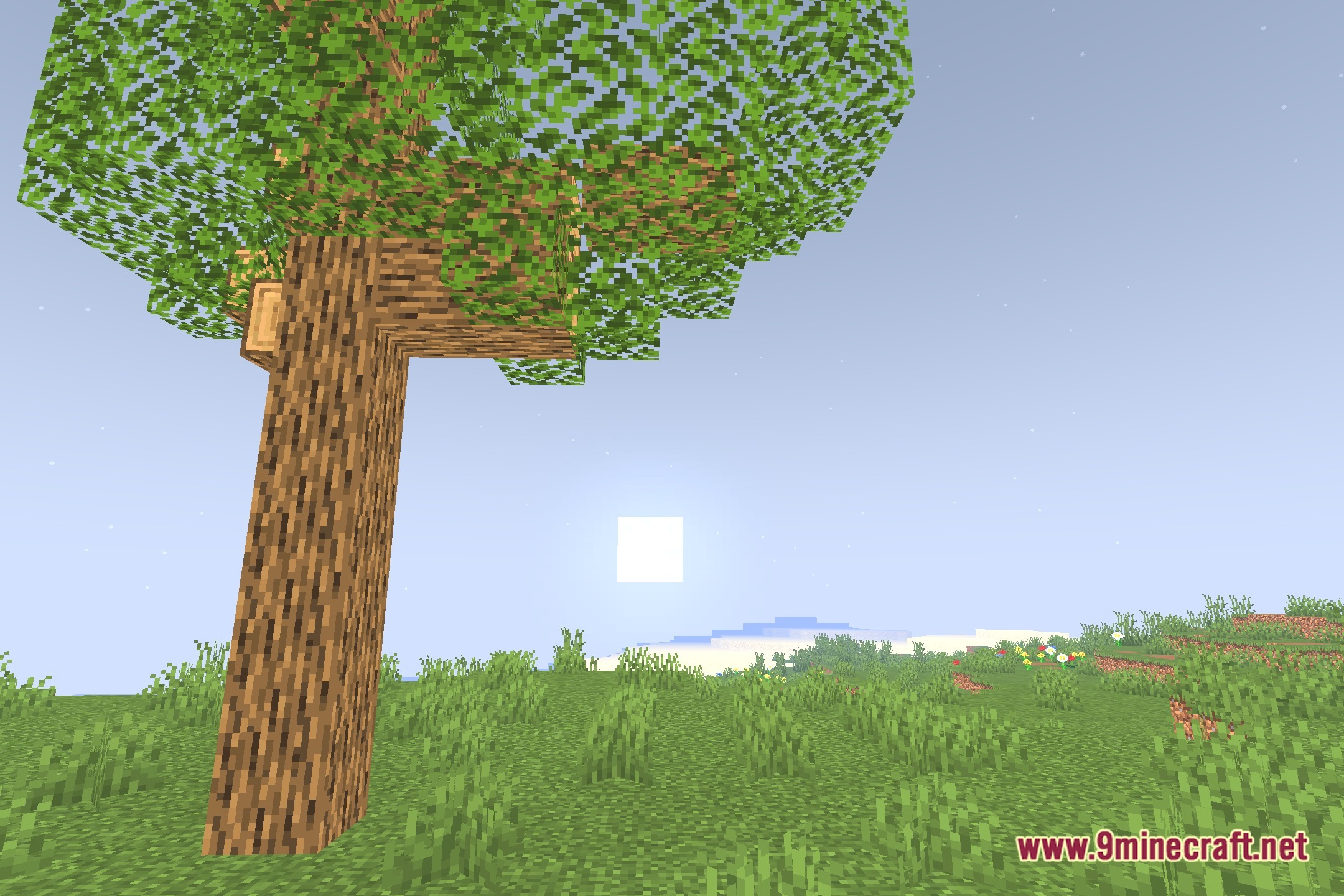 Simply Solid Shaders Screenshot 4