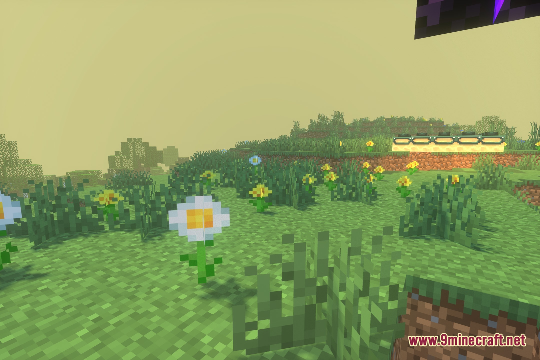 Simply Super Shaders Screenshot 4