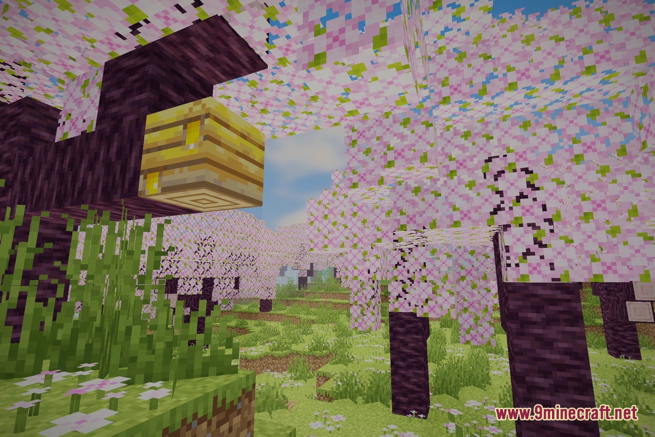 Singularity Shaders Screenshot 1