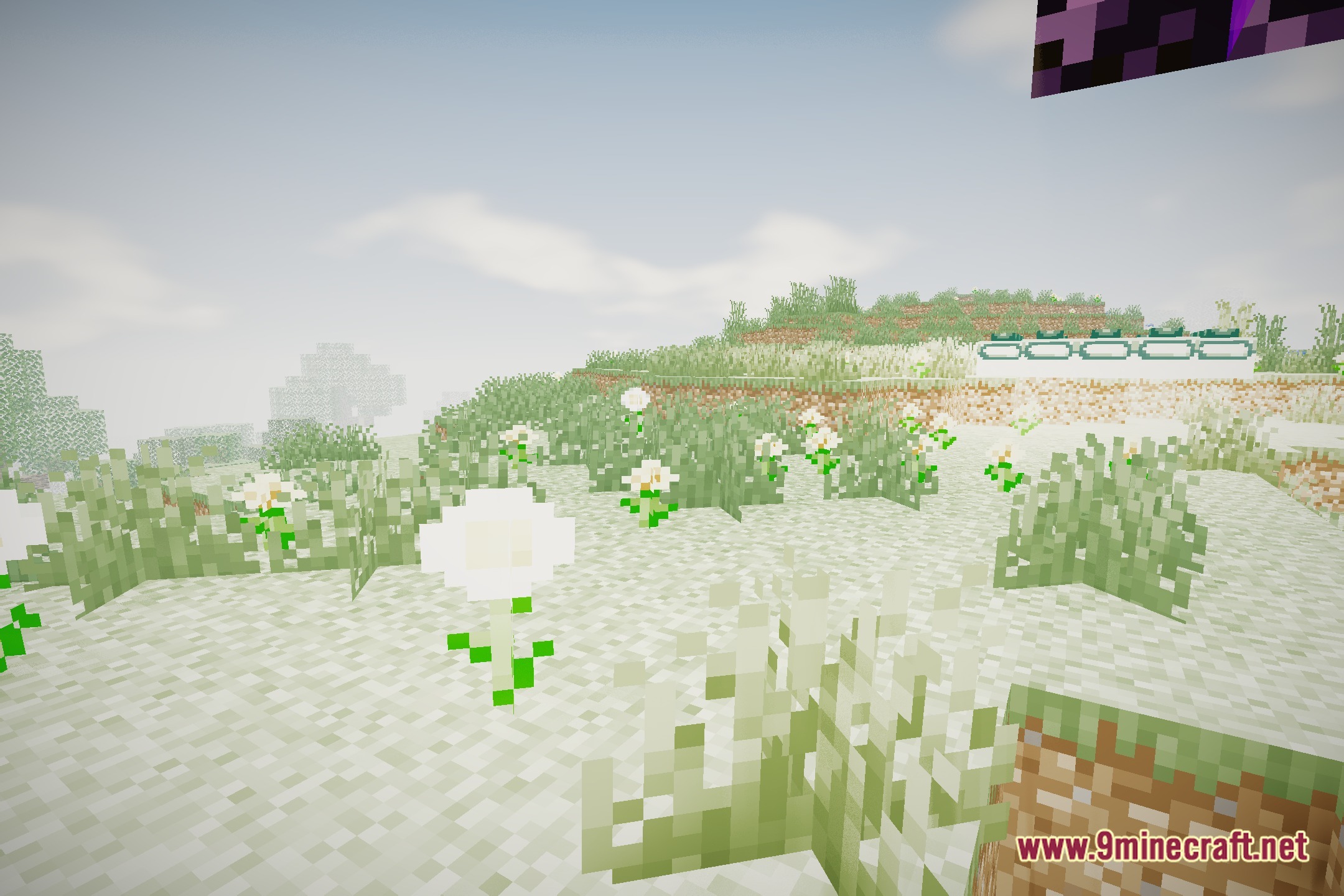 Singularity Shaders Screenshot 5
