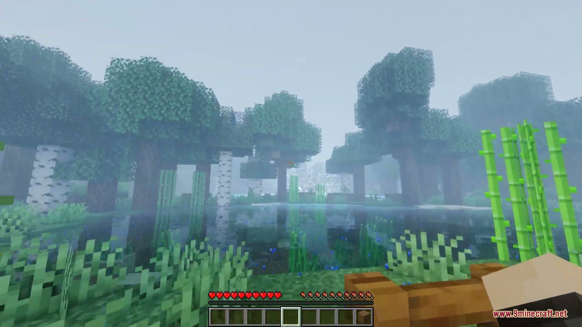 A foggy Minecraft landscape featuring a lake surrounded by trees and bamboo