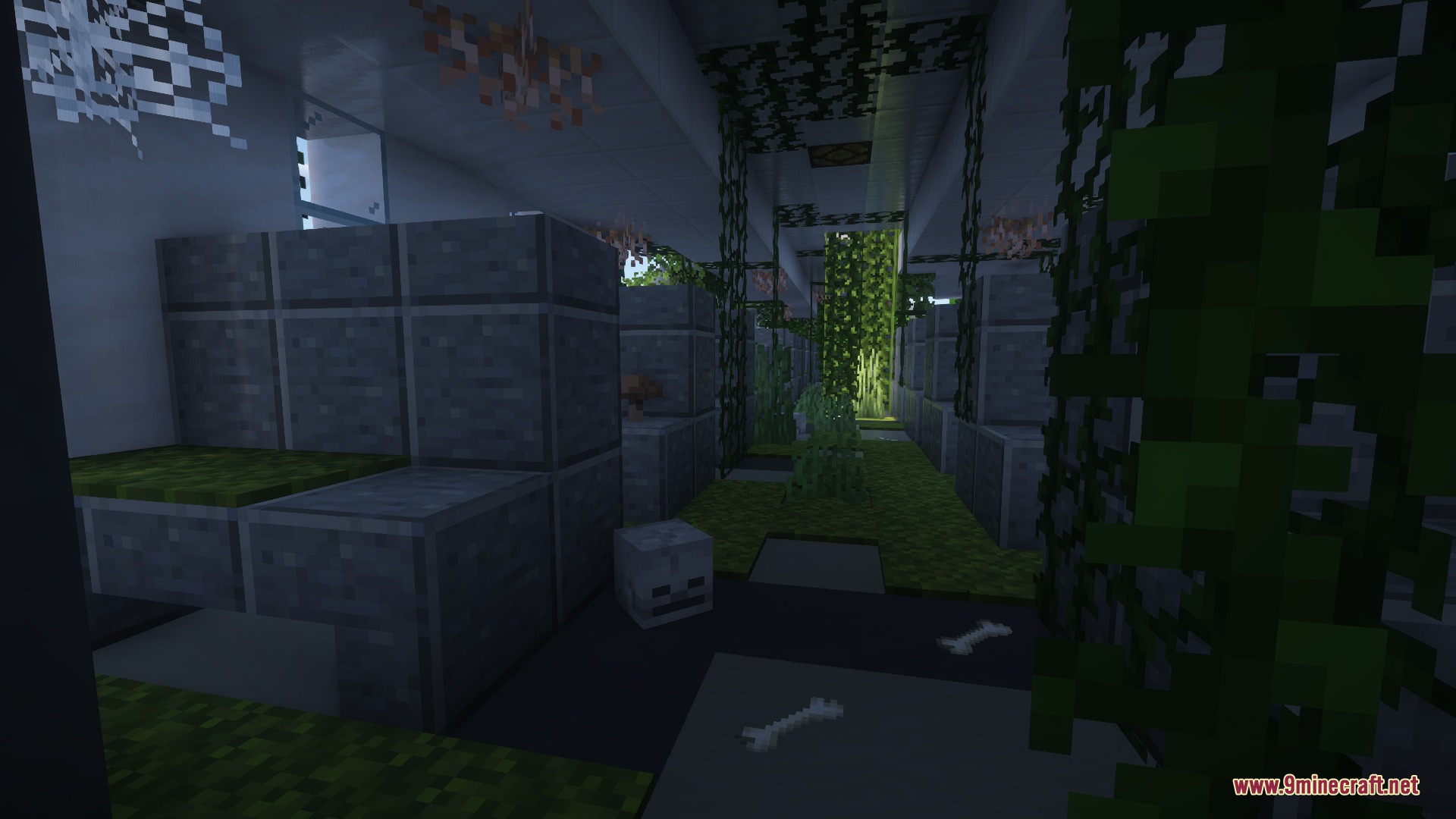 Overgrown airplane cabin with stone seats vines and scattered skeleton remains