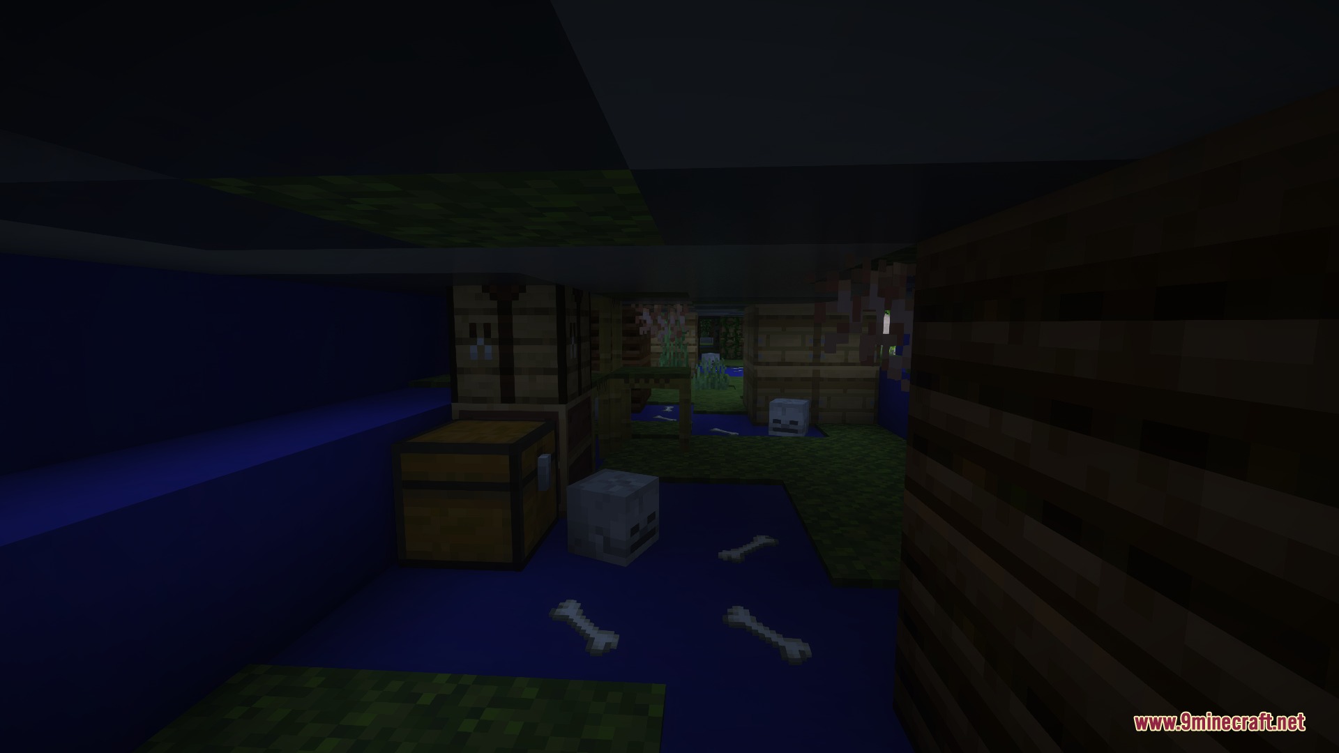 Hidden storage compartment under the plane floor with chests and skulls