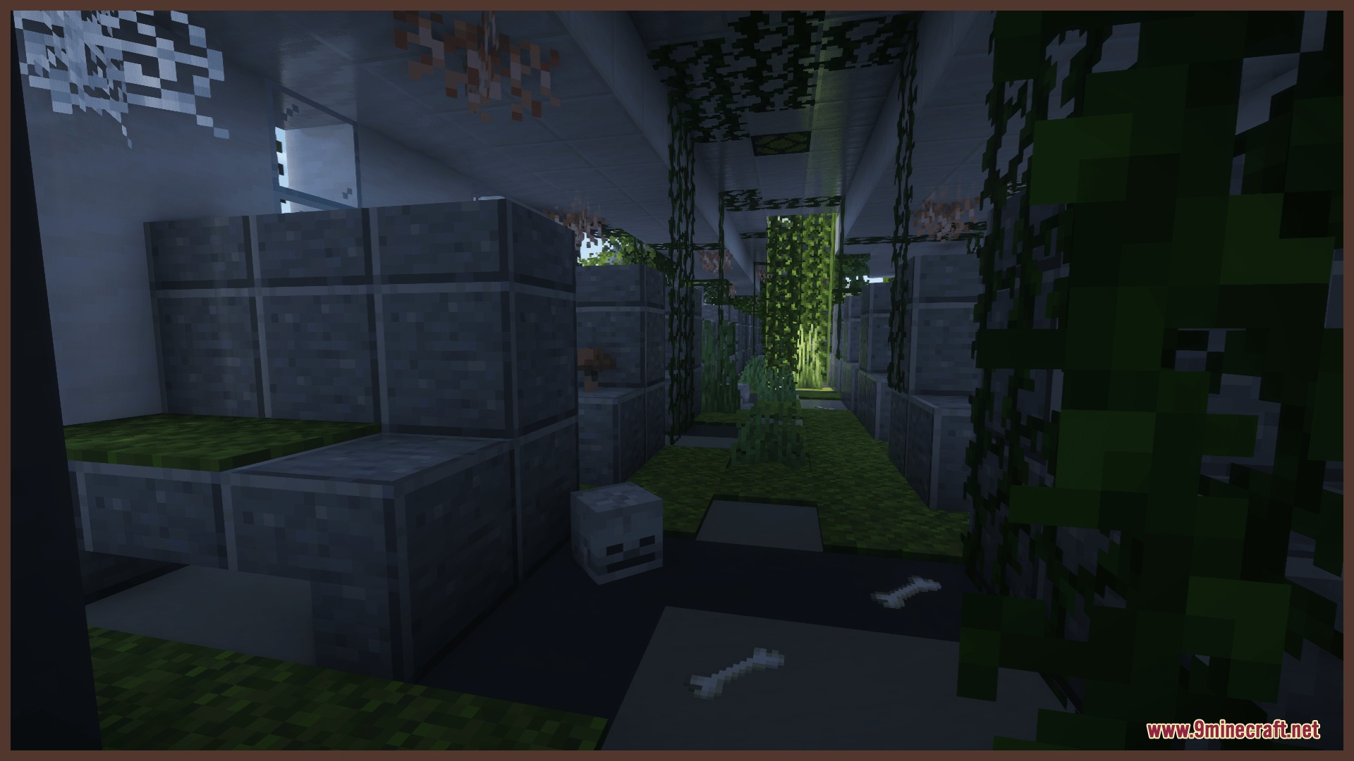 Inside a crashed airplane cabin with vines and a skeleton skull