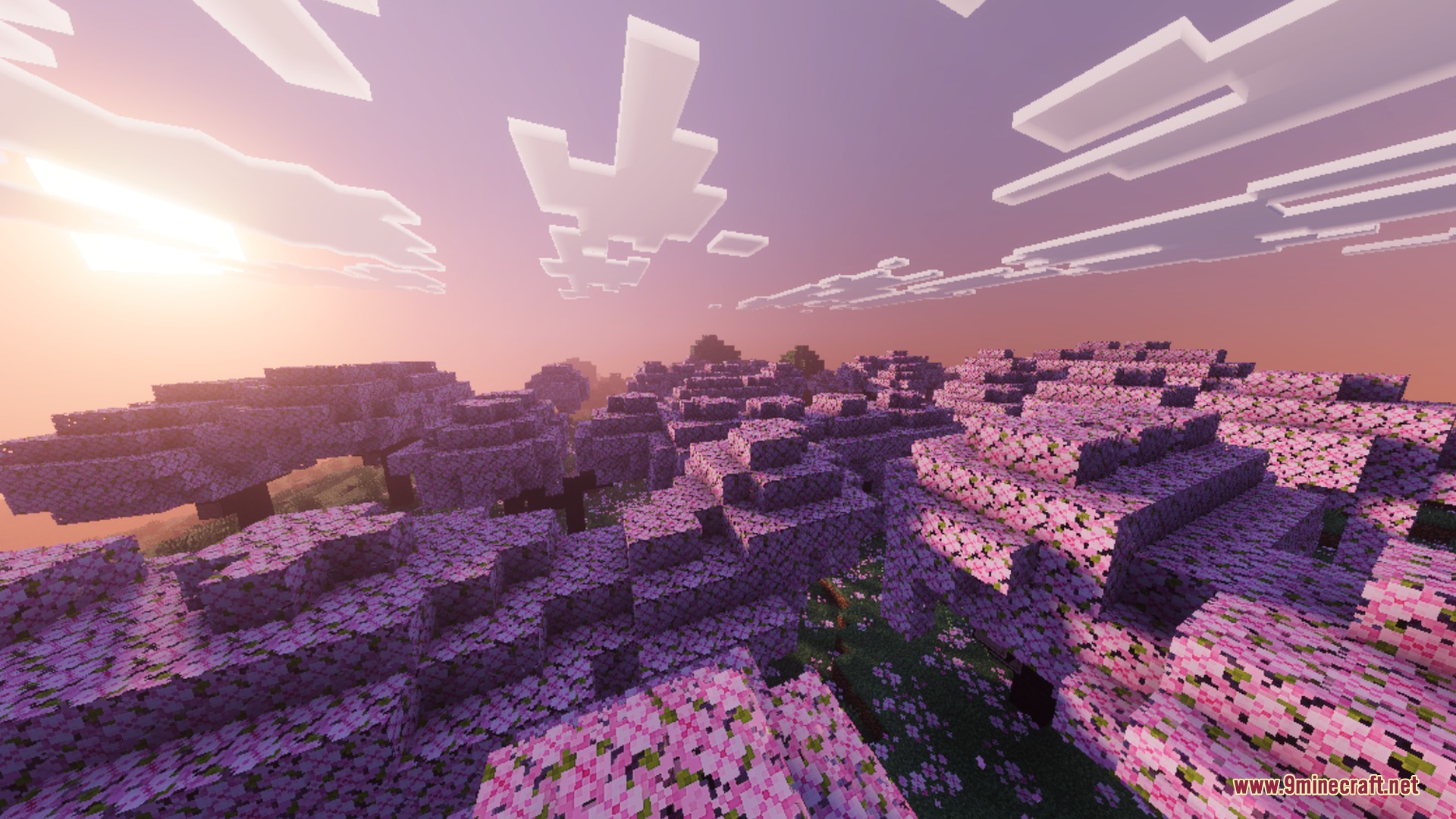 Solace Lite Shader Screenshot 1 Vibrant pink cherry blossom trees glowing under a warm sunset with soft clouds