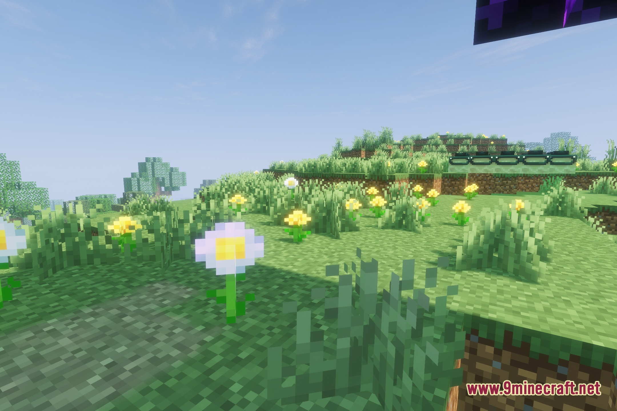 Solar Legacy Shaders Screenshot 5