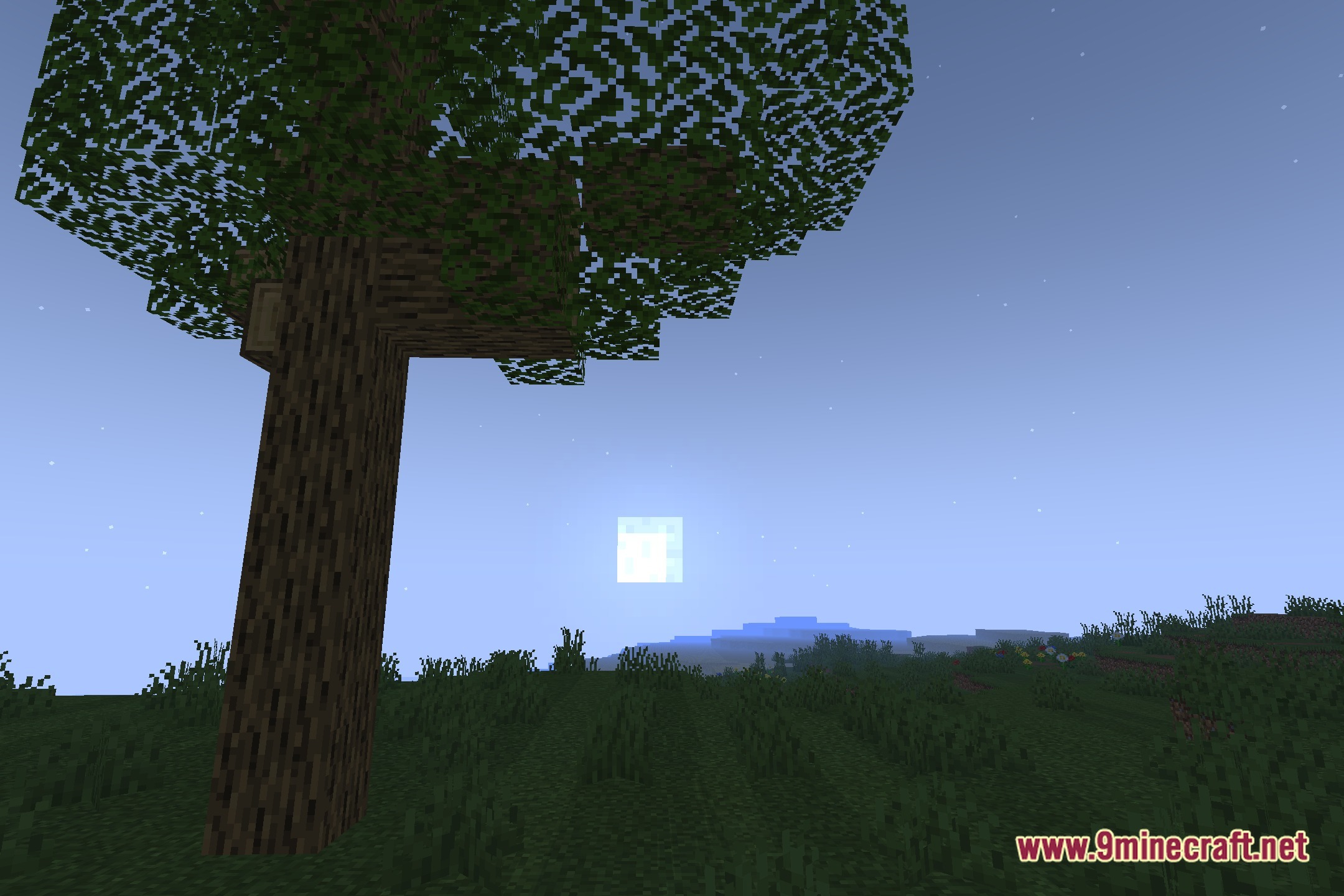 SomeRandomPhotoShaders Screenshot 4