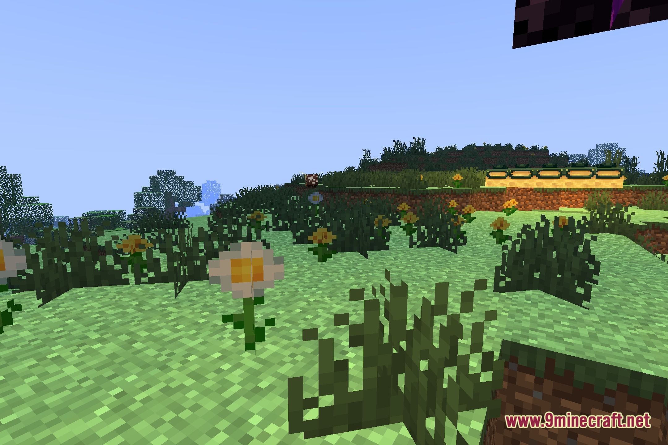 SomeRandomPhotoShaders Screenshot 5