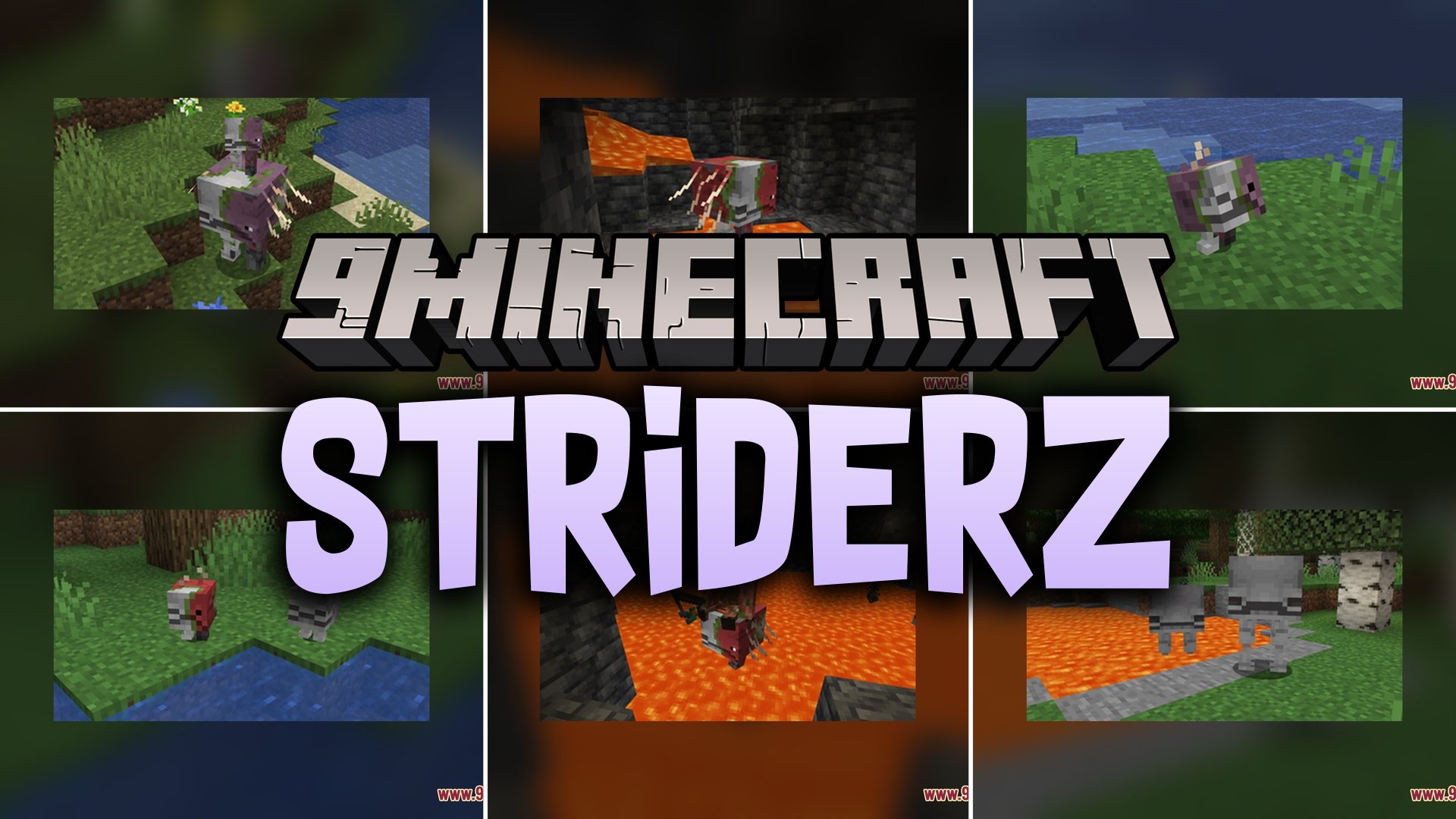 StriderZ Resource Pack