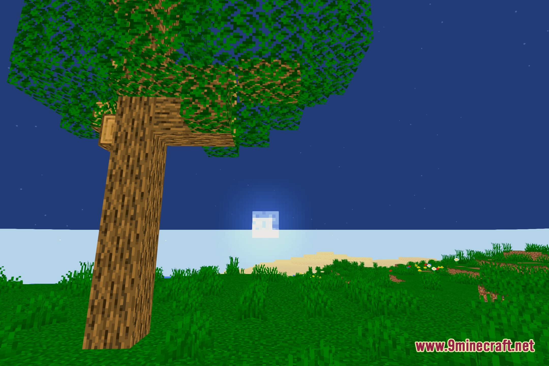 SwiftShade Shaders Screenshot 4