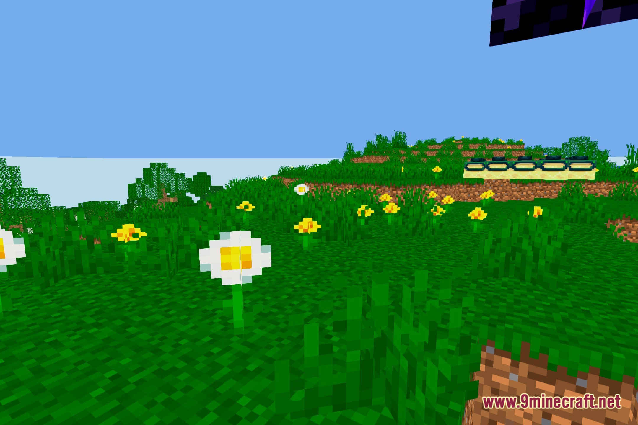 SwiftShade Shaders Screenshot 5