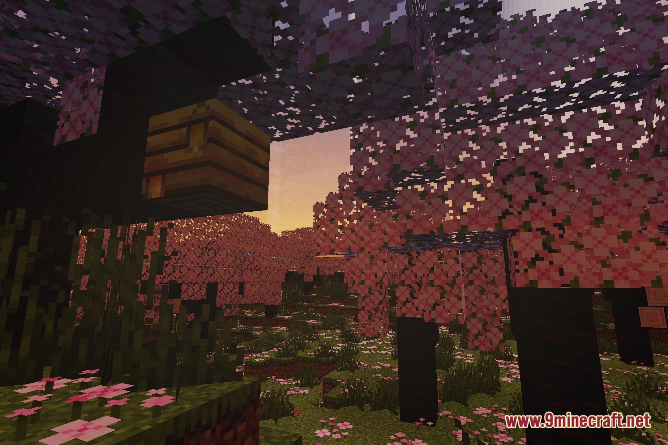 Sytex Sound Shaders Screenshot 1