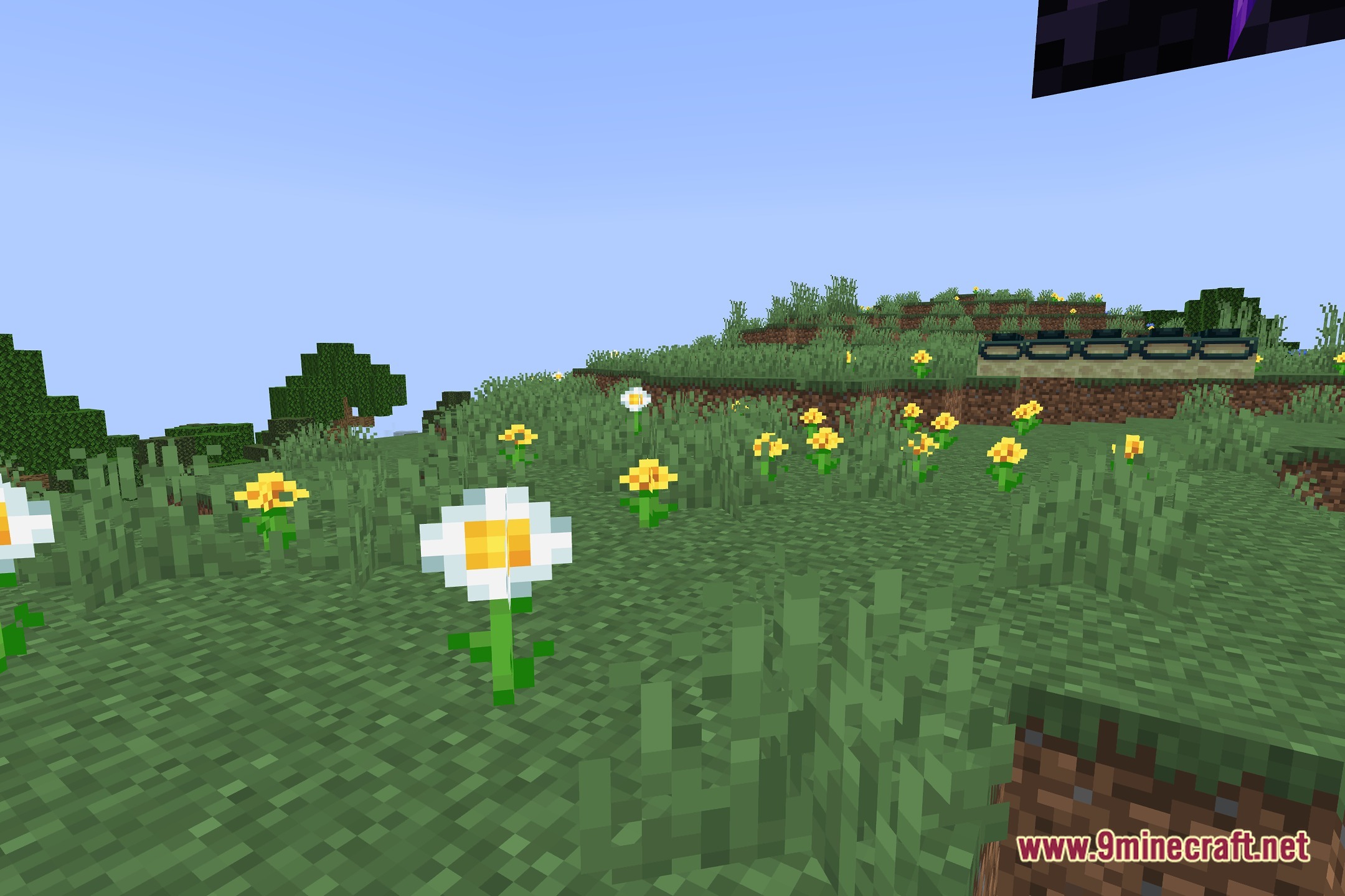 TAA Voxy Port Shaders Screenshot 5