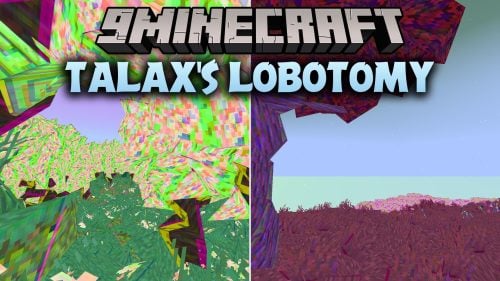 Talax's Lobotomy Shaders (26.3, 1.20.1) - Chaotic Screen Warping and Flashes