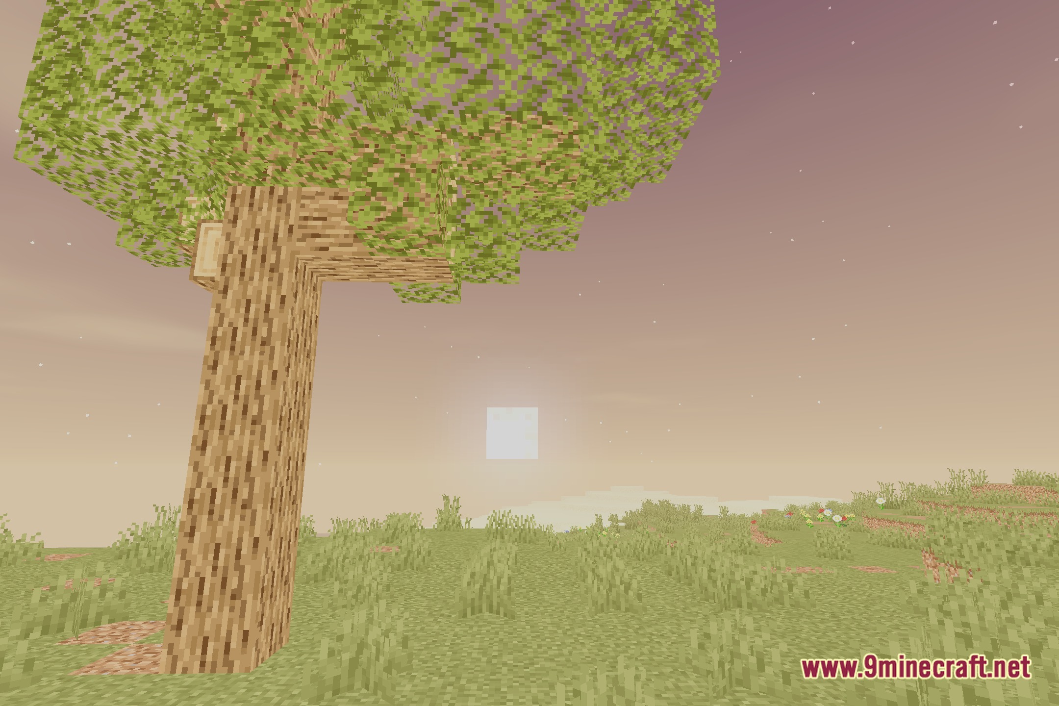The Beat of a Heart Shaders Screenshot 4