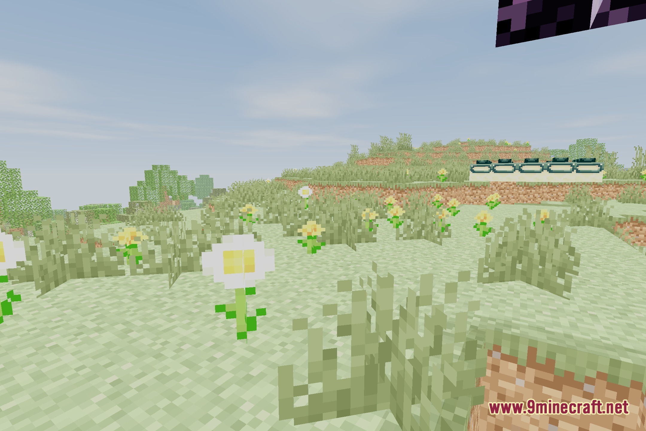 The Beat of a Heart Shaders Screenshot 5