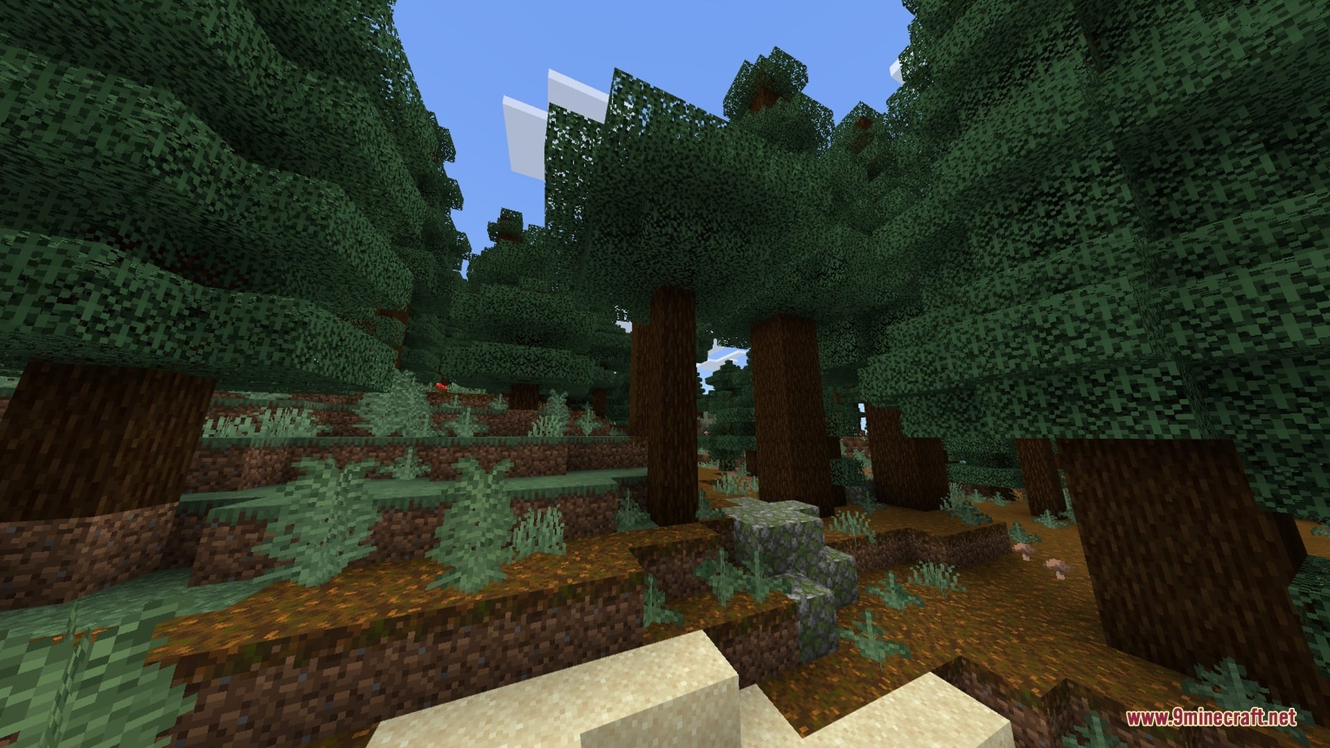 The Bodyguard Golem Shader Screenshot 3 A dense spruce forest biome with tall trees and dark podzol ground