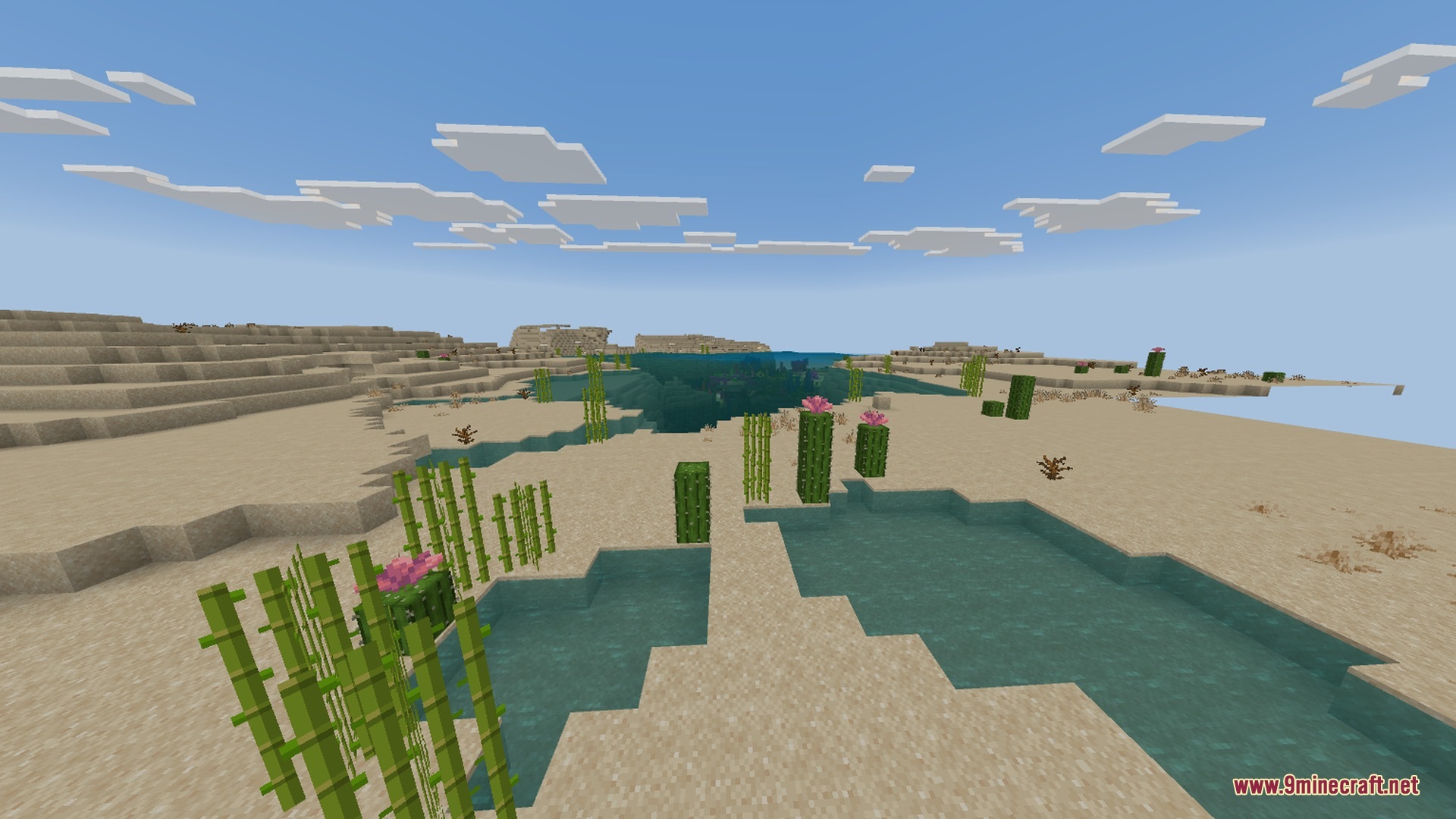 The Bodyguard Golem Shader Screenshot 4 A desert landscape featuring sand dunes water pools and pink flowering cacti