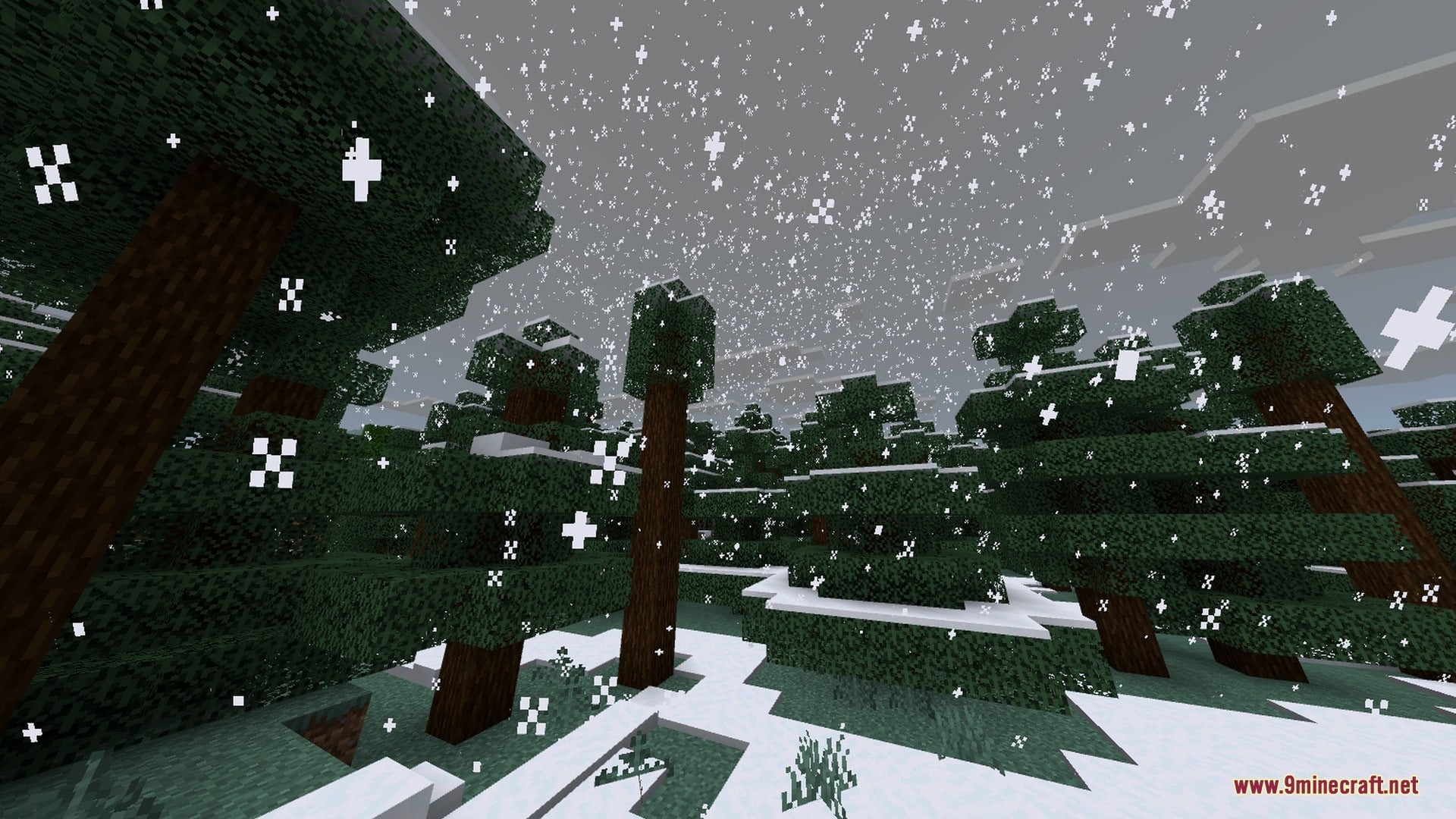 The Bodyguard Golem Shader Screenshot 6 Heavy snow falling over a dense spruce forest in a winter biome