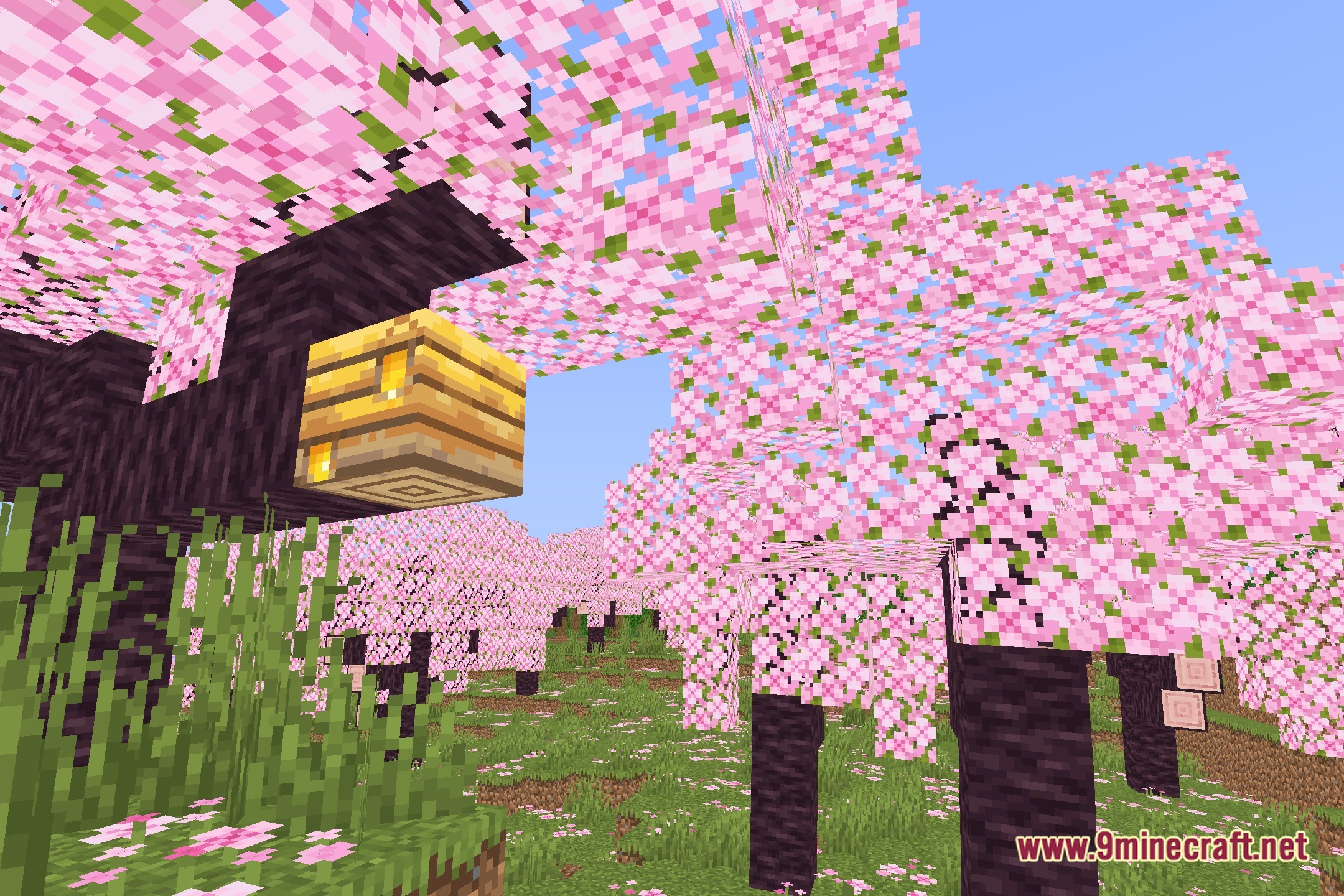 The Cursed Shaders Screenshot 1
