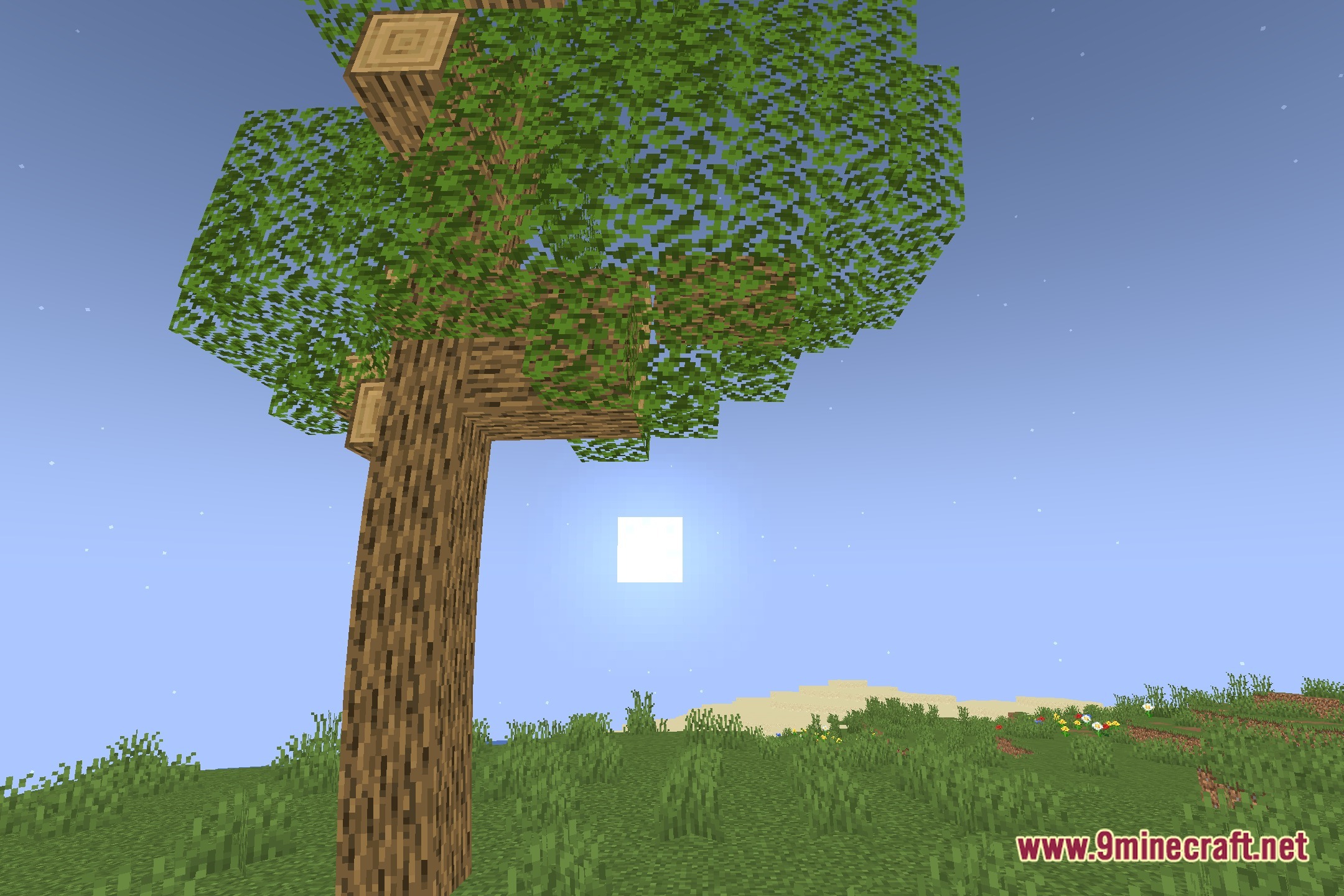 The Cursed Shaders Screenshot 4