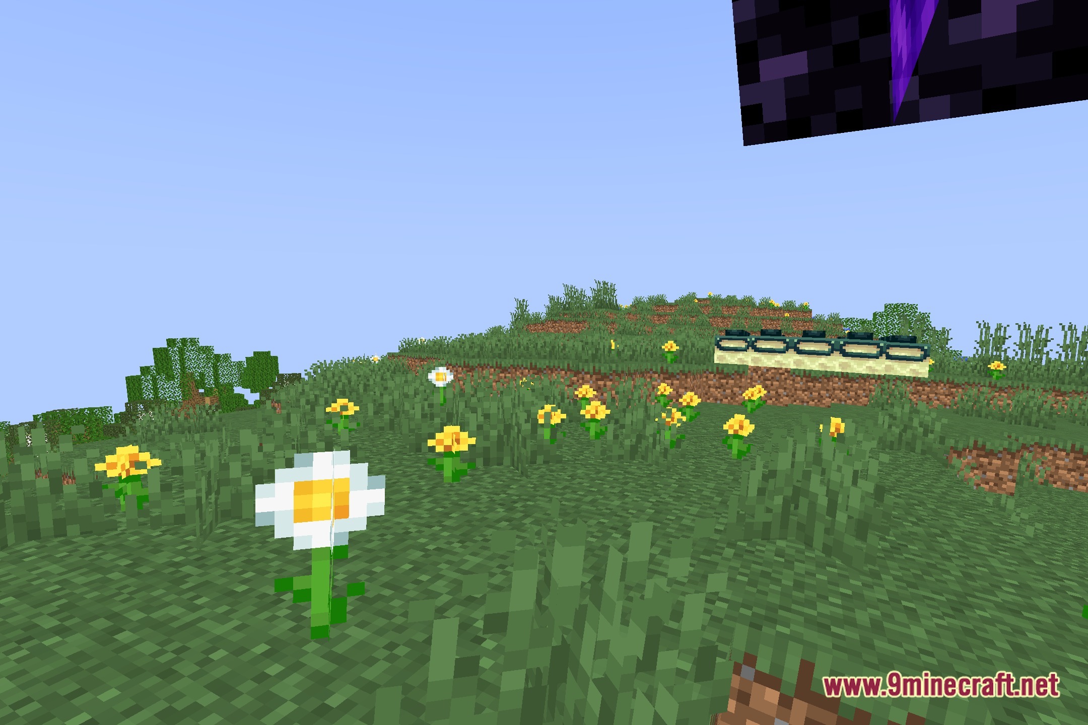 The Cursed Shaders Screenshot 5