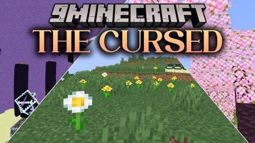 The Cursed Shaders