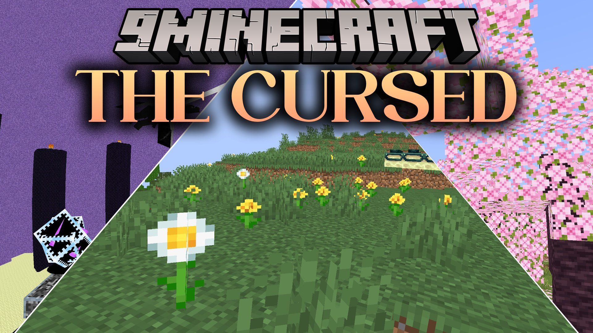 The Cursed Shaders