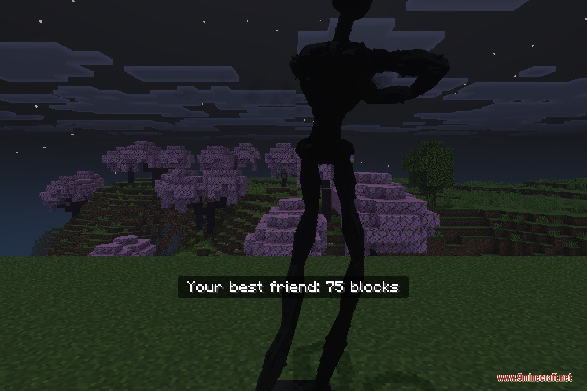 The Shadow in Nightmare Addon Screenshot 2 A tall dark creature stands in a field with a distance indicator