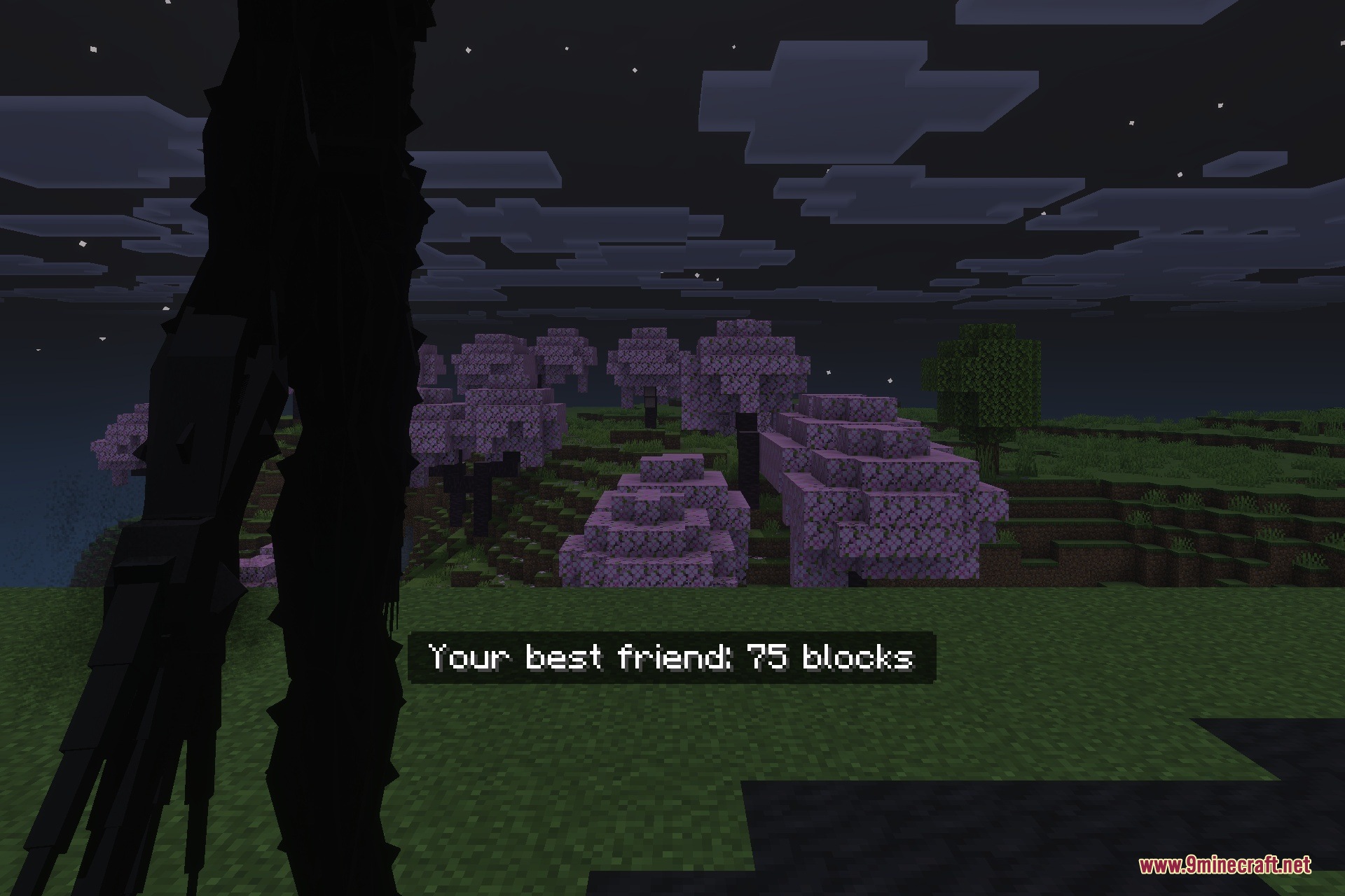 The Shadow in Nightmare Addon Screenshot 6 The stalker entity moves closer as the distance tracking message updates