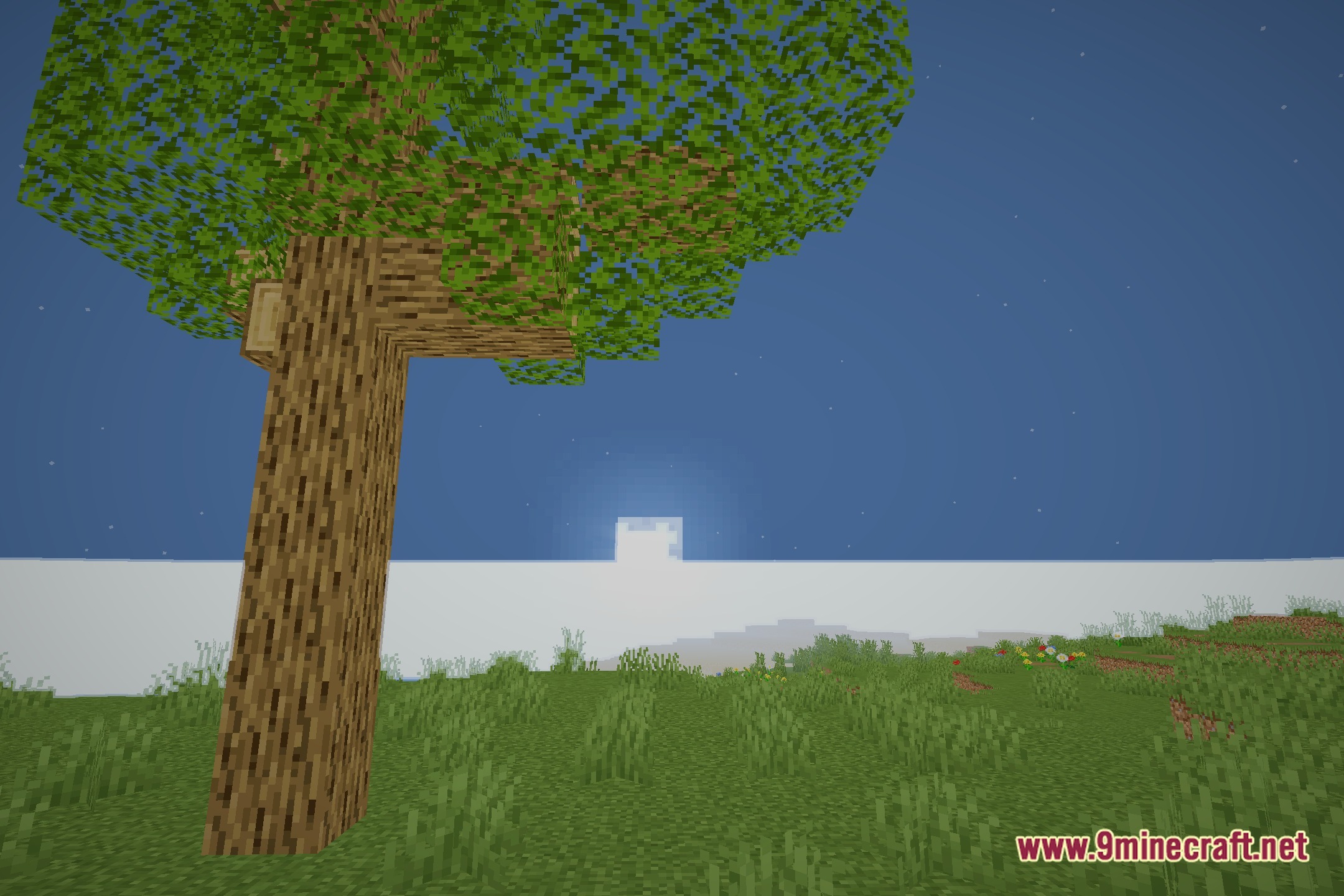 TheMaxFPS Shaders Screenshot 4
