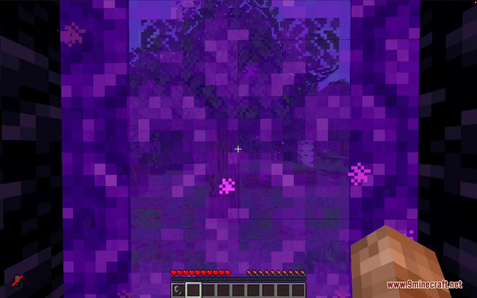 Threshold Protocol Mod Screenshot 1 A player stands before a glowing purple Nether portal in a forest