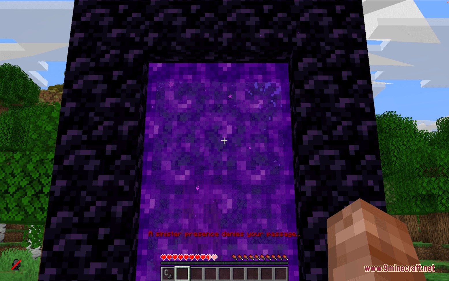 Threshold Protocol Mod Screenshot 4 Threshold Protocol Mod blocks the player from entering the purple Nether portal