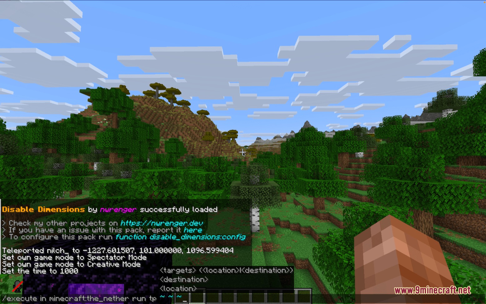 Threshold Protocol Mod Screenshot 5 Player attempts to teleport to the Nether using a command in the chat