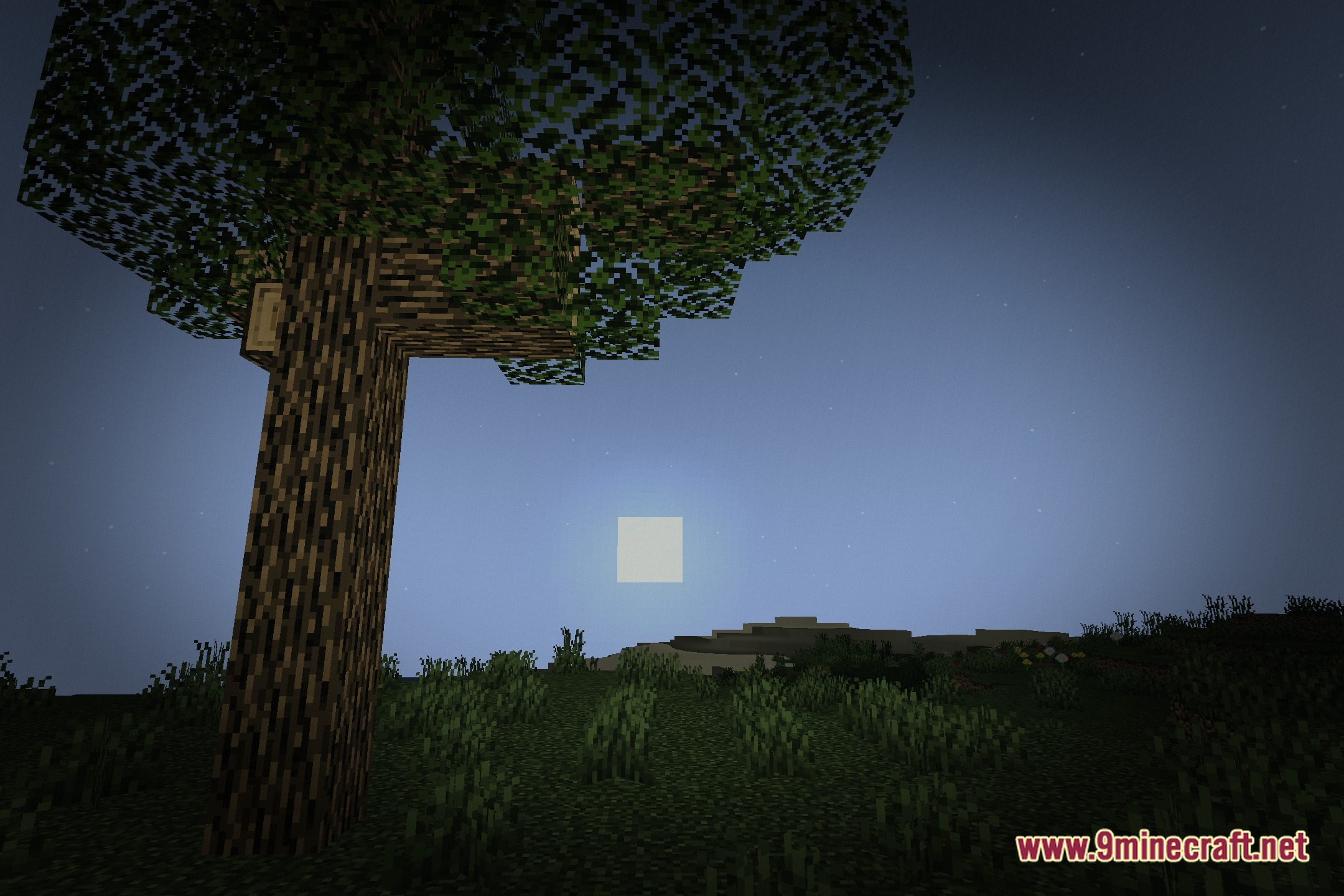 Torch Shaders Screenshot 4