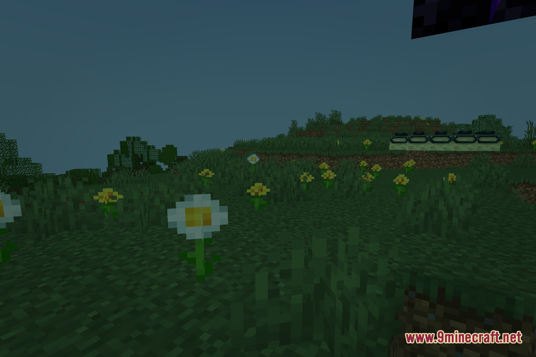 Torch Shaders Screenshot 5