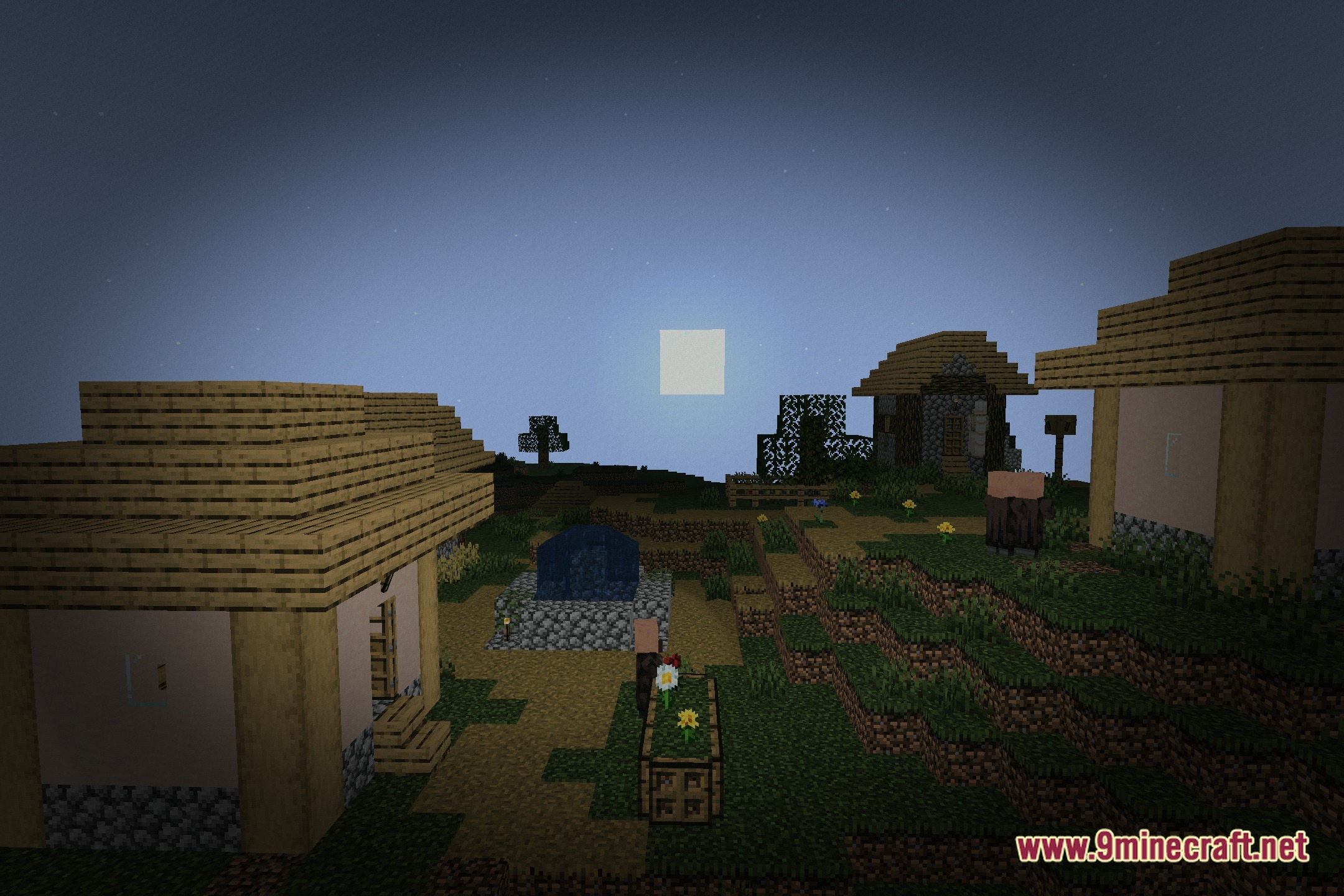 Torch Shaders Screenshot 6