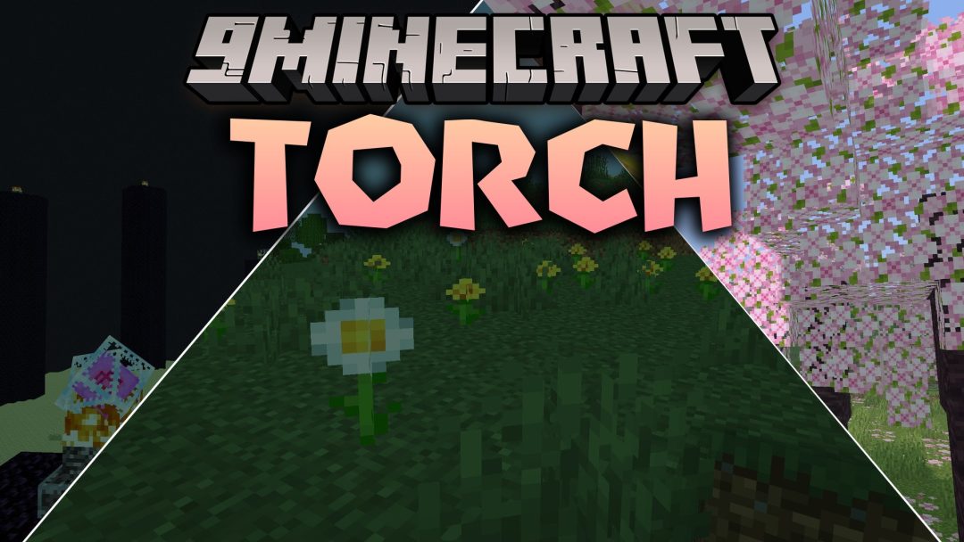 Torch Shaders