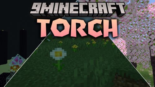 Torch Shaders