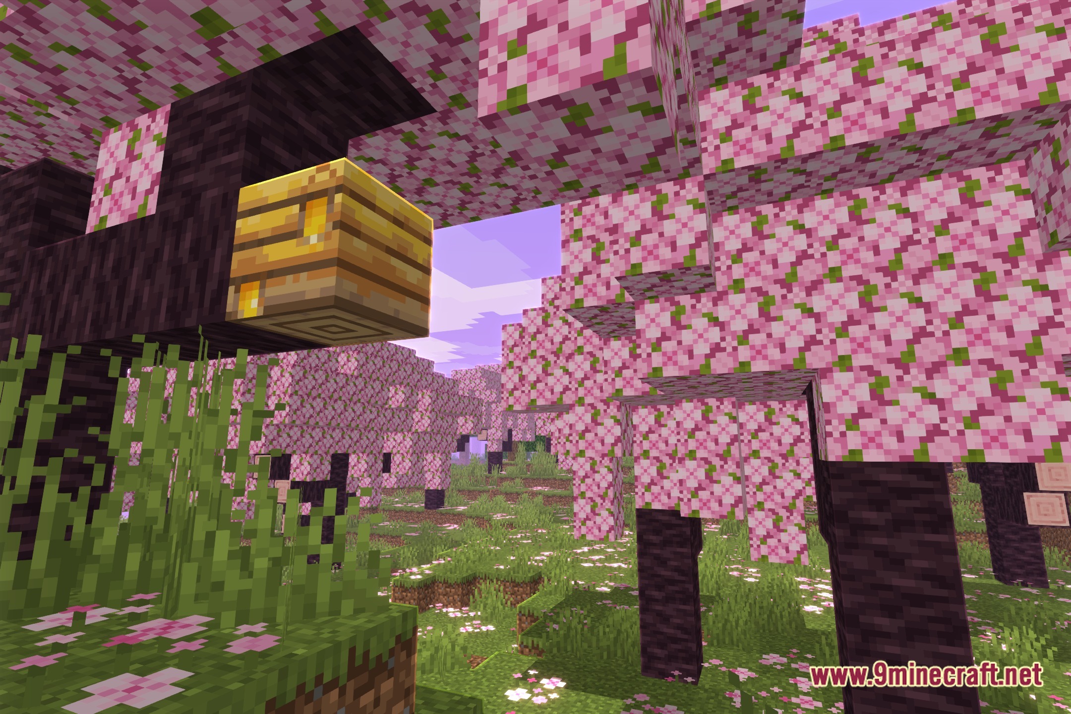 Trace Outlined Shaders Screenshot 1
