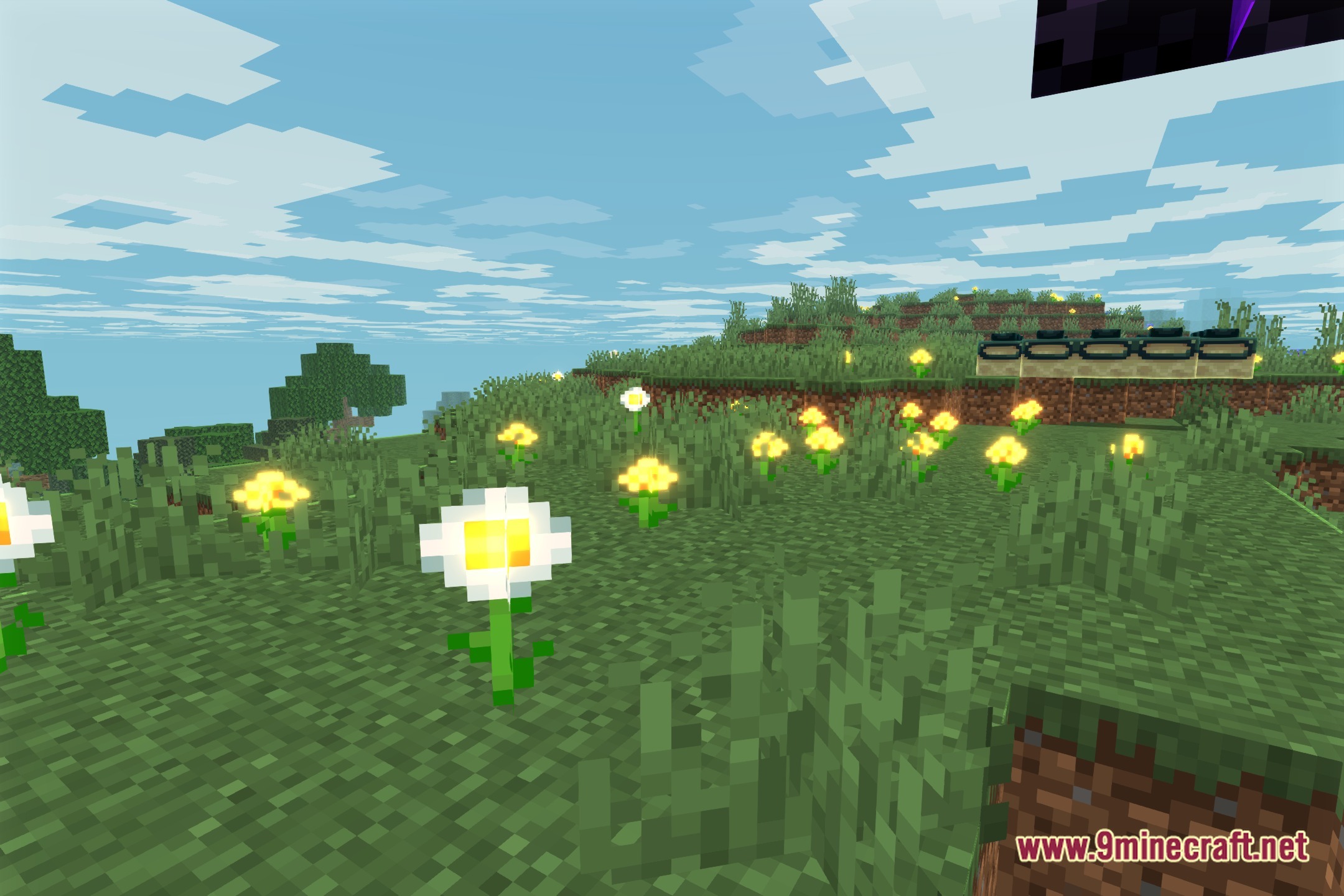 Trace Outlined Shaders Screenshot 4