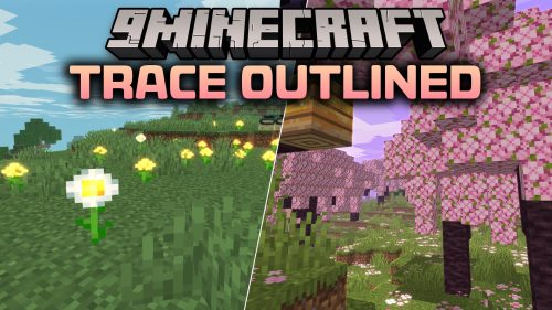 Trace Outlined Shaders
